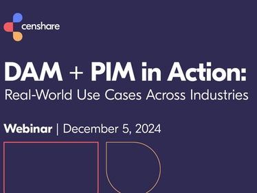 DAM PIM Use Case Webinar Image 2