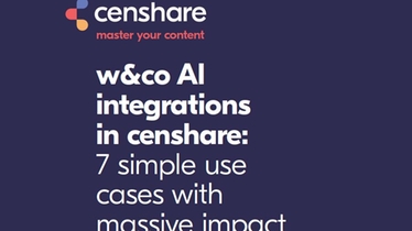 ebook Image - w&co AI Integrations_v2