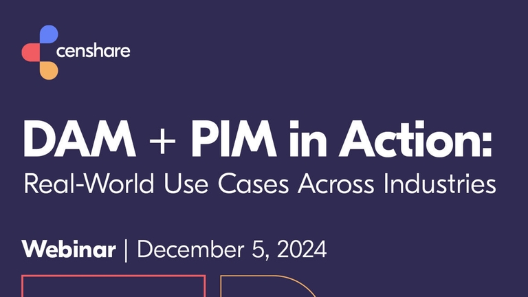 DAM PIM Use Case Webinar Image 2